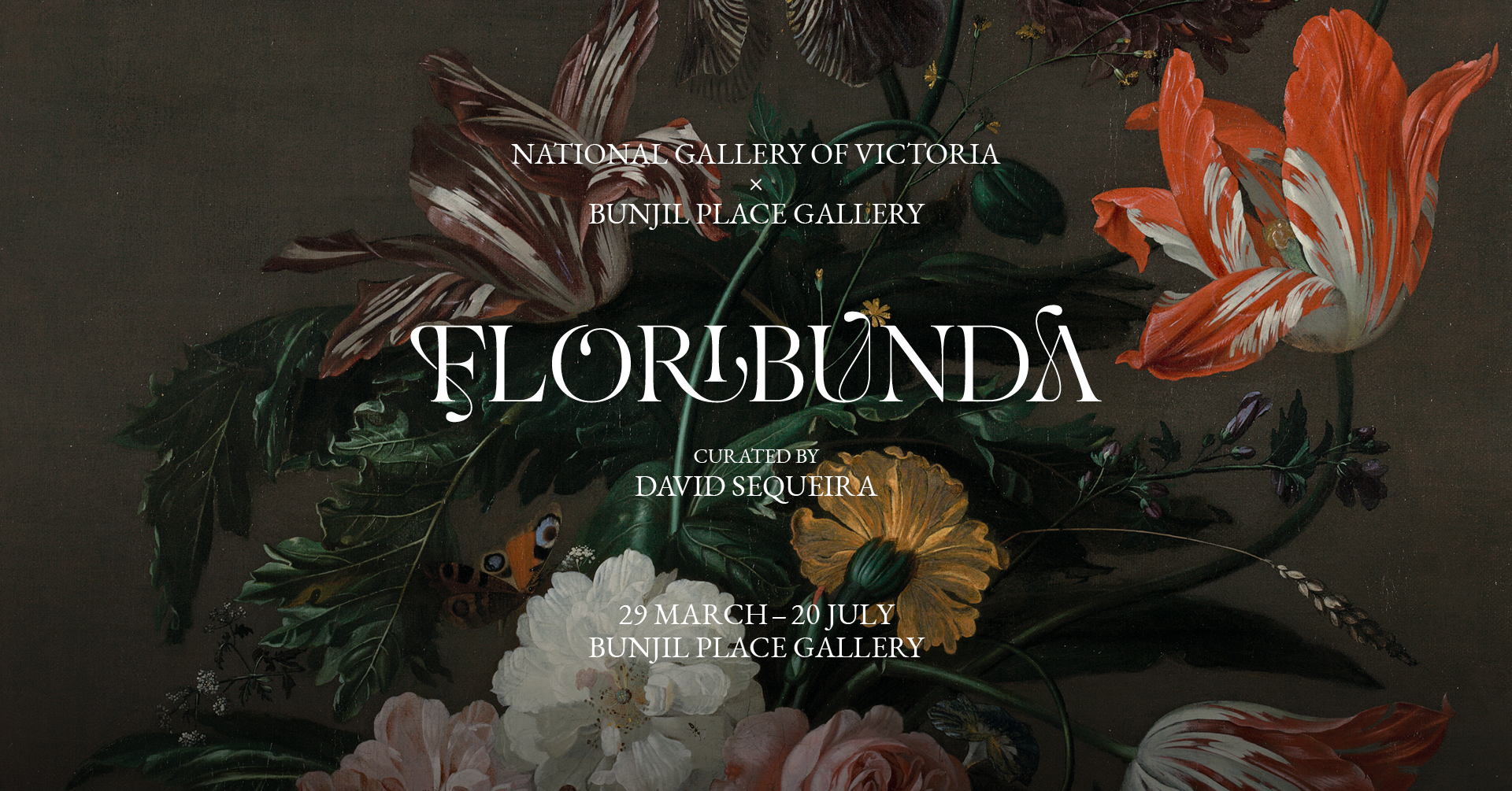 Floribunda gallery floral image