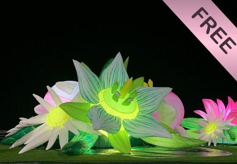 The LOST exhibition features larger than life illuminated sculptures.