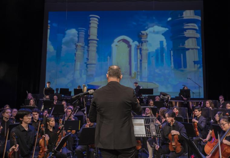 An orchestra in action. 